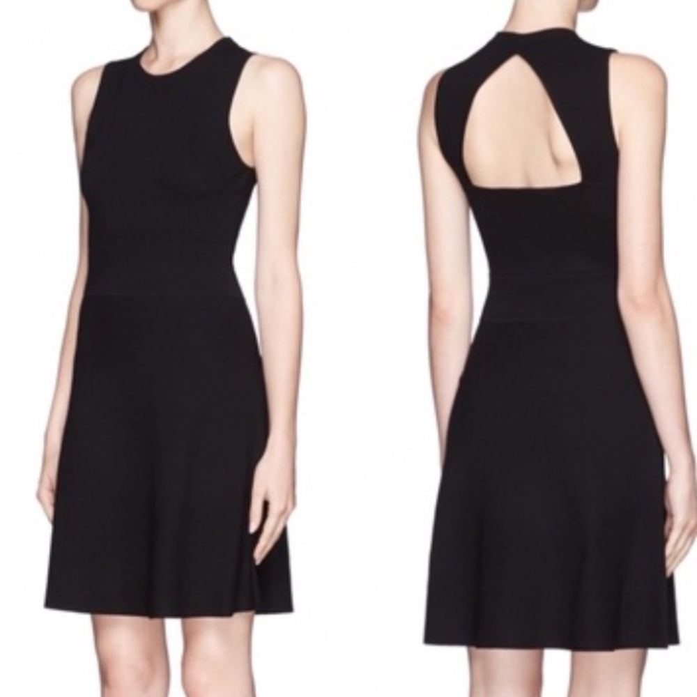 Theory Dress